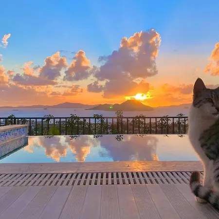 Villa Bodrum - 5 Bedrooms With Heated Pool Turgutreis